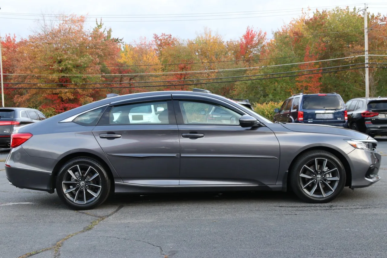 2021 Honda Accord EX-L Sedan 4D in gray — photo 6 of 29